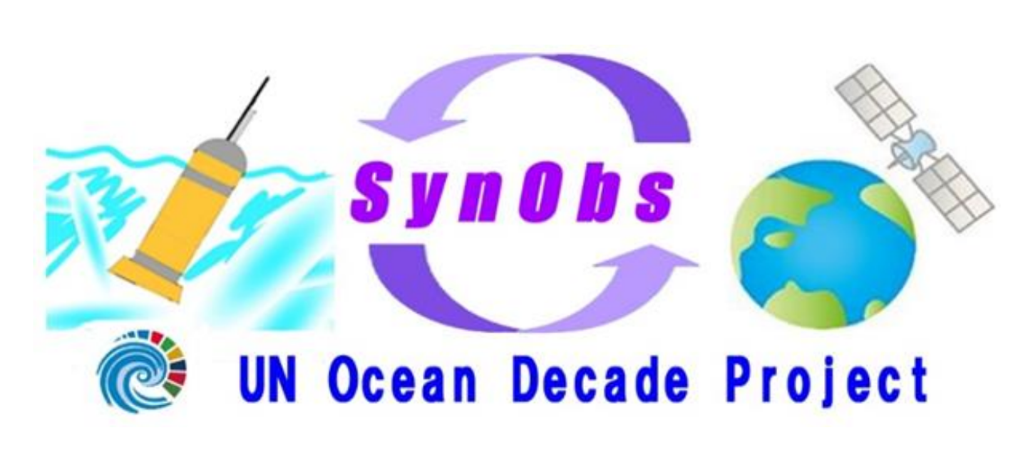 SynObs UN Ocean Decade Project